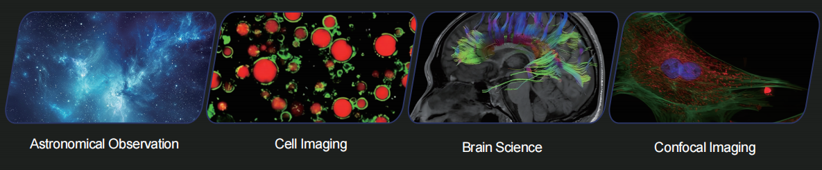 Astronomical Observation, Cell Imaging, Brain Science, Confocal Imaging